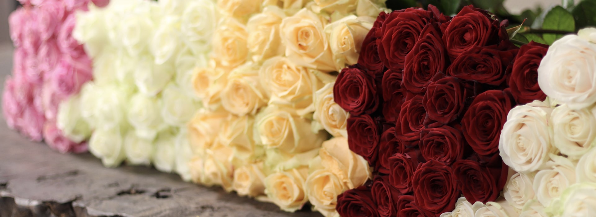 atleet Liever boksen SK Roses Webshop! | Gemakkelijk rozen bestellen